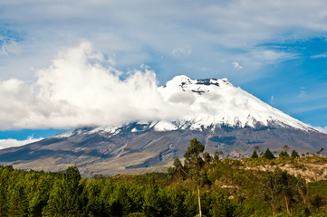 Cotopaxi volcano over the plateau, Andes of Ecuador