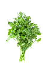 Fresh garden herbs. Parsley