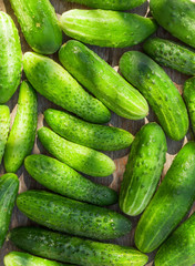Ripe cucumbers