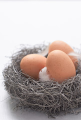 Speckled chicken eggs and feathers