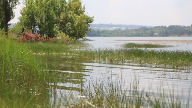 Lake Shore