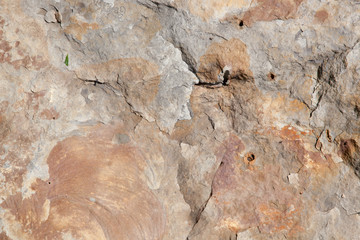 Stones for background