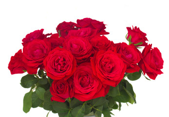 bouquet of fresh roses