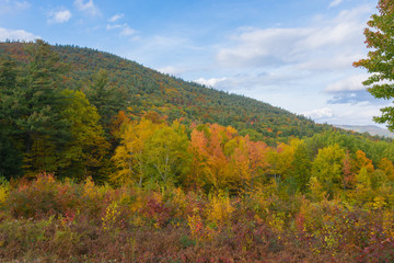 Fototapeta premium Spattering of autumn colors on Prospect Mountain in mid-October. 