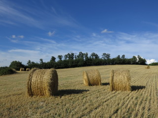 Fototapeta premium rotoli di fieno, campagna