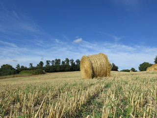 Fototapeta premium rotoli di fieno, campagna