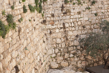 Jerusalem Wall