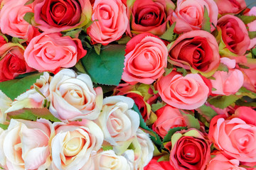 rose paper backgrounds