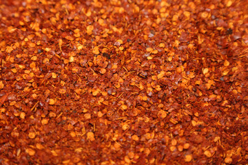 spicy red thai chilli seed