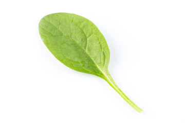 Green spinach on a white background