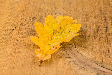 Autumnal leaves on wood background