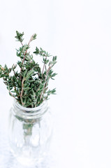 Herbs in bottles on rustic white background