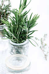 Herbs in bottles on rustic white background