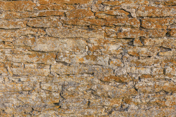 Old stone wall texture with moss