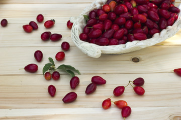 Red dogwood in a dish