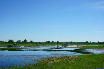 andscape lake, grass, field