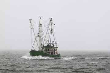 Fototapeta premium Grüner Fischkutter im Nebel
