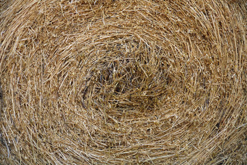 Closeup of a straw bale