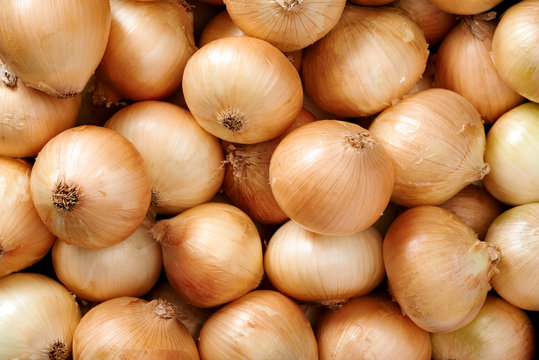 Onion background
