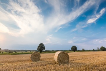 Fototapeta na wymiar Stubble field with straw bales