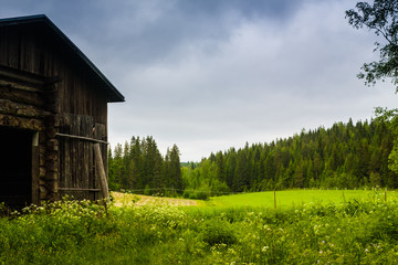 Obraz premium Old Barn And The Summer Fields