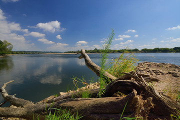 Wild bank of the river Vistula in Poland. - obrazy, fototapety, plakaty