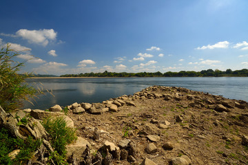 Wild bank of the river Vistula in Poland. - obrazy, fototapety, plakaty