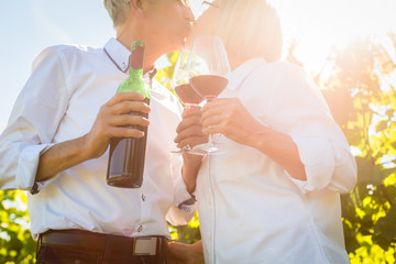 Senioren Paar stößt mit Wein an im Sommer Gegenlicht, Mann und Frau prosten sich zu