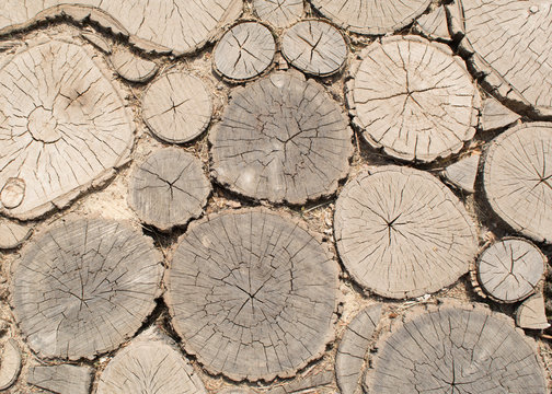 Walking path of wooden bars