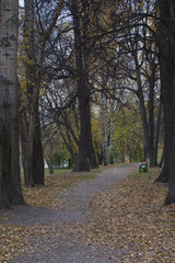Autumn Park..