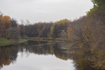 Fototapeta na wymiar Autumn forest on the river..