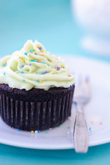 Chocolate cupcake with hundreds and thousands