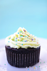 Chocolate cupcake with hundreds and thousands