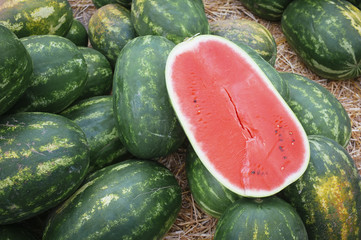 fresh, sweet and ripe watermelon in agricultural fair
