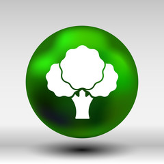 Broccoli abstract isolated on a white backgrounds