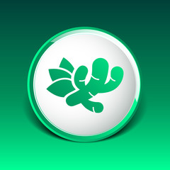 Ginger icon - Vector root health food market closeup