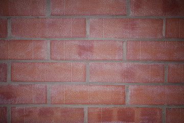 Red bricks wall. Background.

