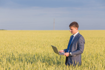 Businessman on a wheat field