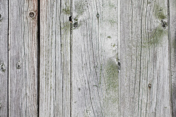 Grey with green old wooden backgorund