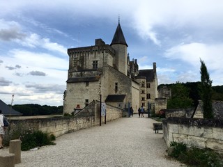 Fototapeta na wymiar Il castello di Montsoreau - Loira, Francia