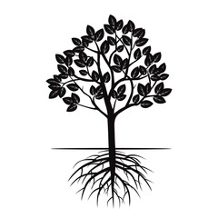 Obraz premium Set of Trees and Roots