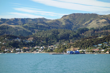 Bay harbour in Akaroa