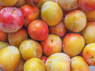 Prune fruits background