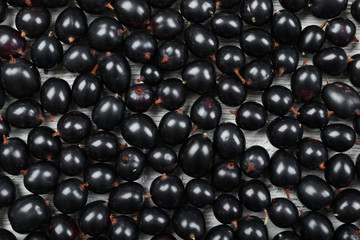 Heap of wild black currant close up