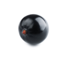 Heap of wild black currant isolated on white