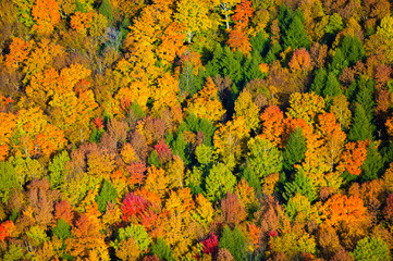 Aerial view of fall foliage in Vermont.