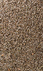 Hemp Seed background