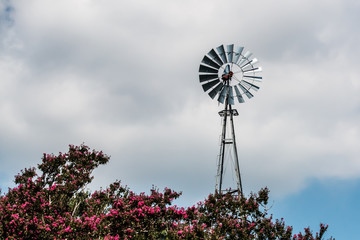 Upper portion of farm windmill