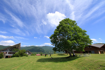 高原の夏