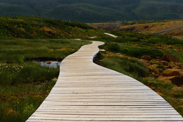 Boardwalk in  Gros Morne National Park, Newfoundland, Canada